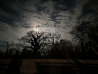 Szigetmonostor Családi ház