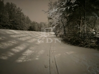 Szigetmonostor Családi ház