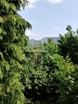 Dunabogdány Nyaraló