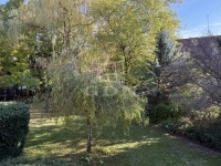 Budapest XI. kerület Lakás (téglaépítésű)