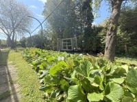 Zalaegerszeg Családi ház