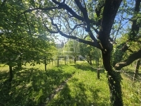 Zalaegerszeg Sorház