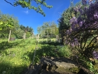 Zalaegerszeg Sorház